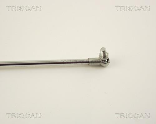 Cilindro Triscan A/S 8710 13245
