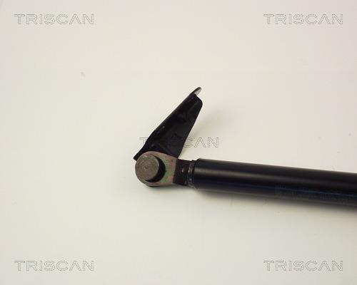 Muelle neumático Triscan A/S 8710 13246