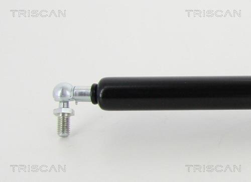 Vérin (Vérin de hayon) Triscan A/S 8710 13250