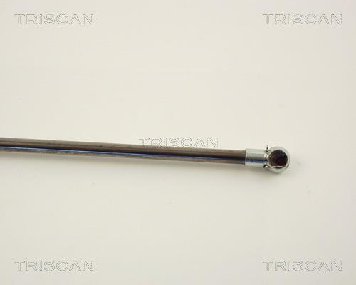 Vérin (Vérin de hayon) Triscan A/S 8710 13251