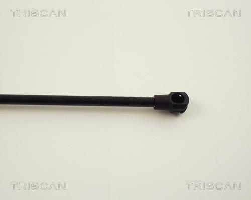 Vérin (Vérin de hayon) Triscan A/S 8710 13256