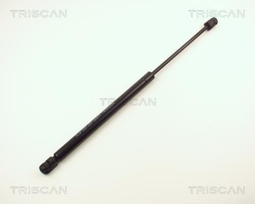 Muelle neumático Triscan A/S 8710 13258