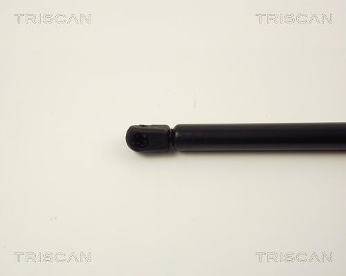 Muelle neumático Triscan A/S 8710 13258