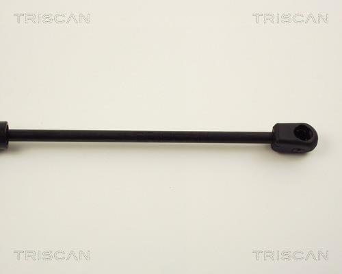Muelle neumático Triscan A/S 8710 13258
