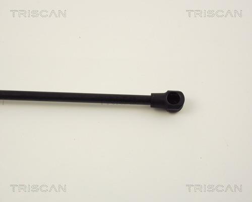 Vérin (Vérin de hayon) Triscan A/S 8710 13260