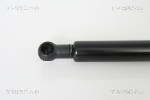 Muelle neumático Triscan A/S 8710 13266