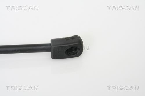 Muelle neumático Triscan A/S 8710 13266