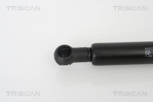 Vérin (Vérin de hayon) Triscan A/S 8710 13267
