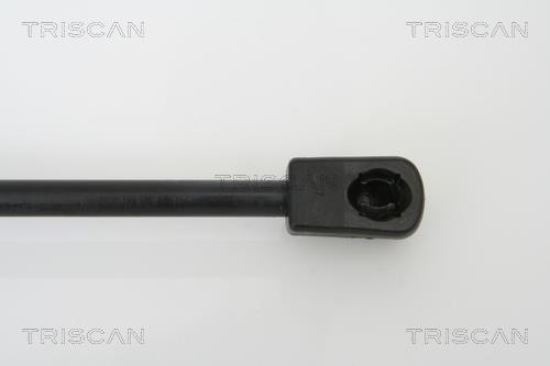 Vérin (Vérin de hayon) Triscan A/S 8710 13267