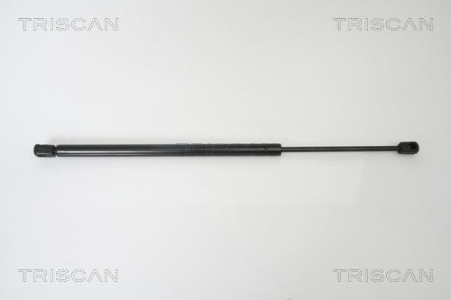 Vérin (Vérin de hayon) Triscan A/S 8710 13270