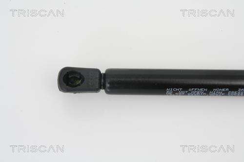 Vérin (Vérin de hayon) Triscan A/S 8710 13270