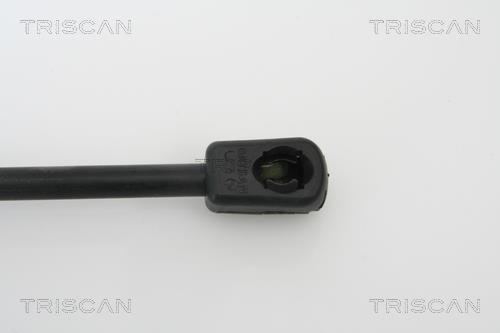 Vérin (Vérin de hayon) Triscan A/S 8710 13270