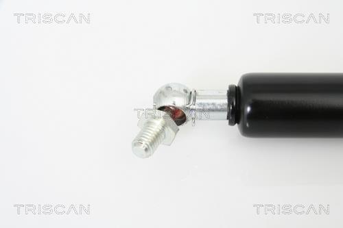 Vérin (Vérin de hayon) Triscan A/S 8710 13271
