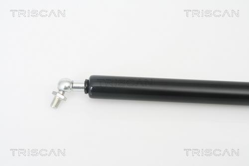 Vérin (Vérin de hayon) Triscan A/S 8710 13272