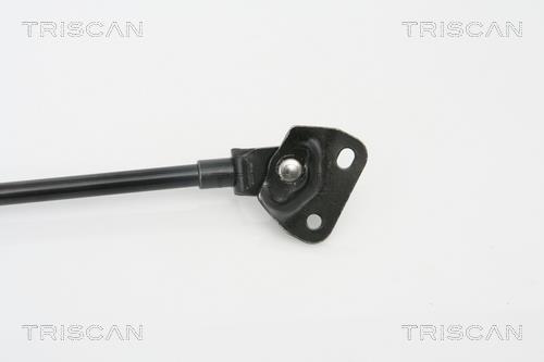 Vérin (Vérin de hayon) Triscan A/S 8710 13272
