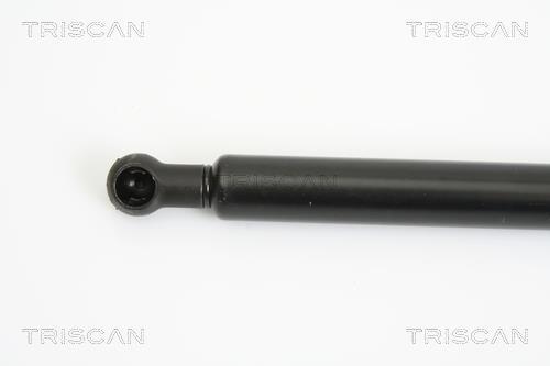 Vérin (Vérin de hayon) Triscan A/S 8710 13273
