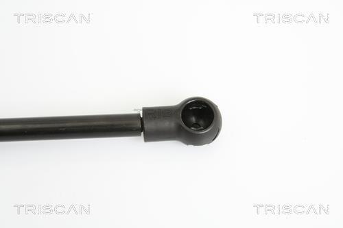 Vérin (Vérin de hayon) Triscan A/S 8710 13273