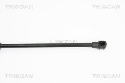 Vérin (Vérin de hayon) Triscan A/S ref. 8710 13274