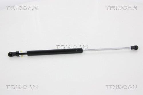 Cilindro Triscan A/S 8710 13275