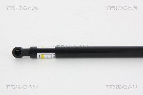 Cilindro Triscan A/S 8710 13275