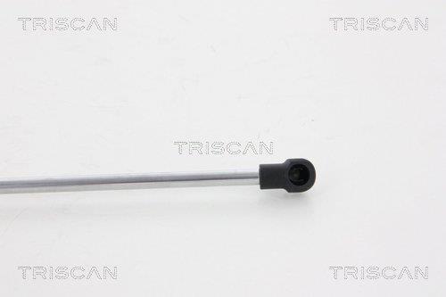 Cilindro Triscan A/S 8710 13275