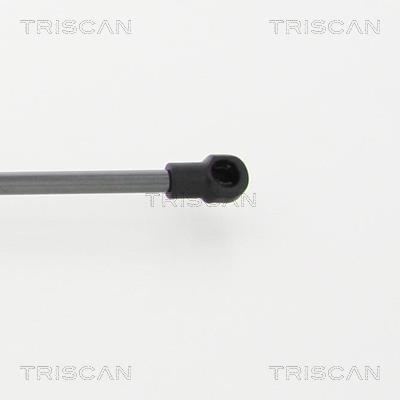 Vérin (Vérin de hayon) Triscan A/S 8710 13276