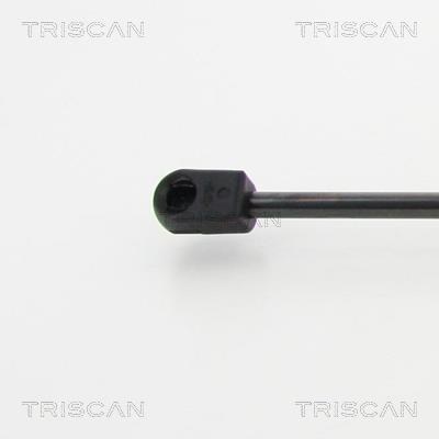 Vérin (Vérin de hayon) Triscan A/S 8710 13279