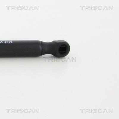Vérin (Vérin de hayon) Triscan A/S 8710 13279