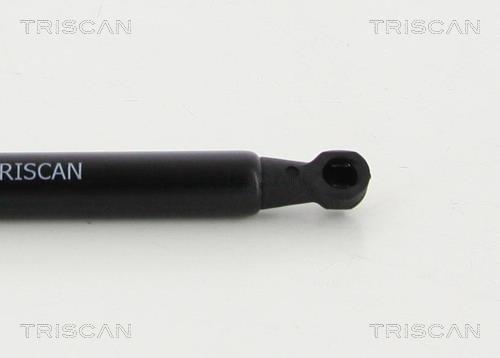 Muelle neumático Triscan A/S 8710 13280