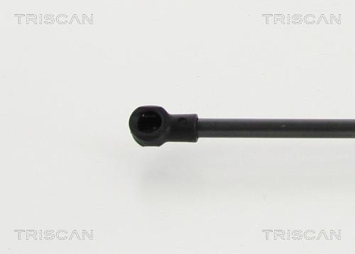 Muelle neumático Triscan A/S 8710 13280