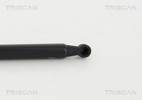 Vérin (Vérin de hayon) Triscan A/S 8710 13281