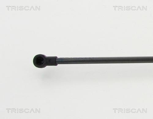 Vérin (Vérin de hayon) Triscan A/S 8710 13282