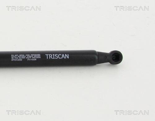Vérin (Vérin de hayon) Triscan A/S 8710 13282