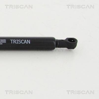 Vérin (Vérin de hayon) Triscan A/S 8710 13283