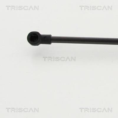 Vérin (Vérin de hayon) Triscan A/S 8710 13284