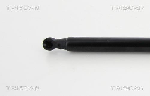 Vérin (Vérin de hayon) Triscan A/S 8710 13285