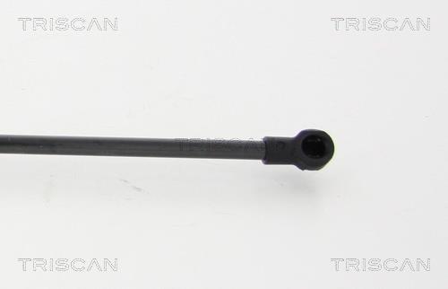 Vérin (Vérin de hayon) Triscan A/S 8710 13285