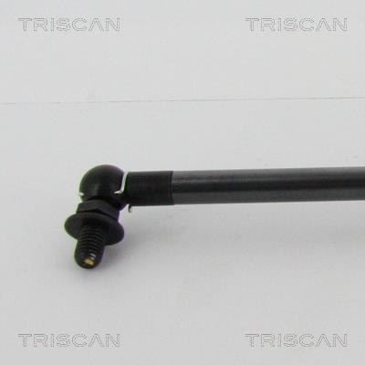 Vérin (Vérin de hayon) Triscan A/S 8710 13290
