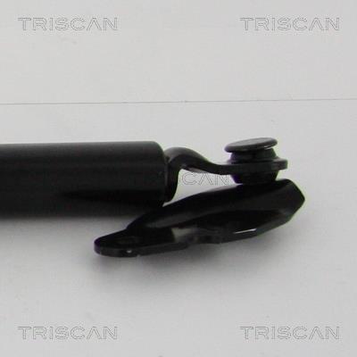 Vérin (Vérin de hayon) Triscan A/S 8710 13290