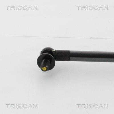 Vérin (Vérin de hayon) Triscan A/S 8710 13291