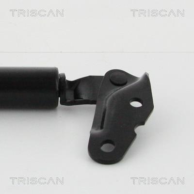 Vérin (Vérin de hayon) Triscan A/S 8710 13291