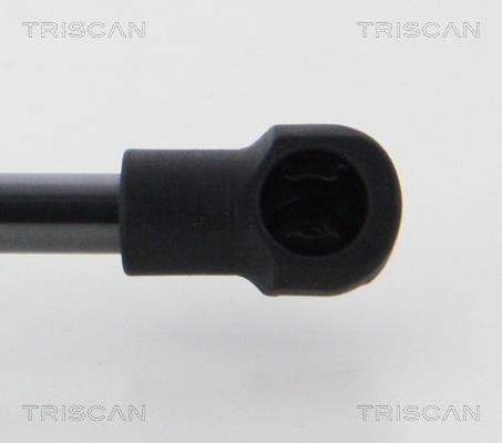 Cilindro Triscan A/S 8710 13292