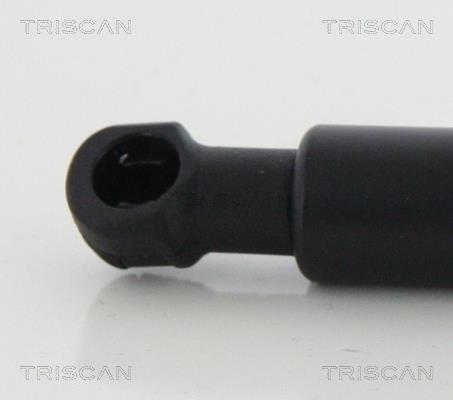 Cilindro Triscan A/S 8710 13292