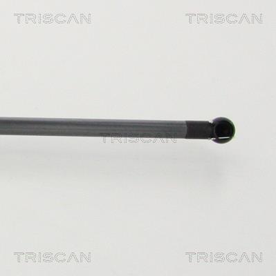 Vérin (Vérin de hayon) Triscan A/S 8710 13293