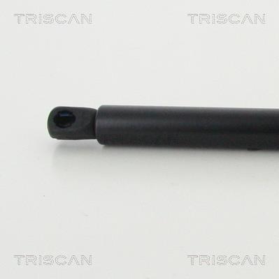 Vérin (Vérin de hayon) Triscan A/S 8710 13293