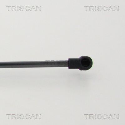 Cilindro Triscan A/S ref. 8710 13294