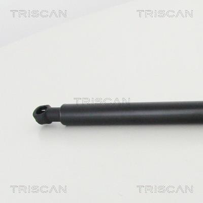 Cilindro Triscan A/S ref. 8710 13294