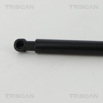 Vérin (Vérin de hayon) Triscan A/S 8710 13295