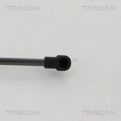 Vérin (Vérin de hayon) Triscan A/S 8710 13295