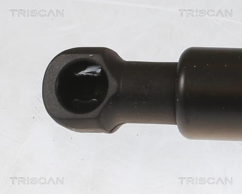 Cilindro Triscan A/S ref. 8710 13296